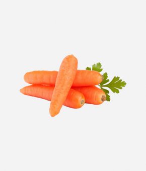 Carrot