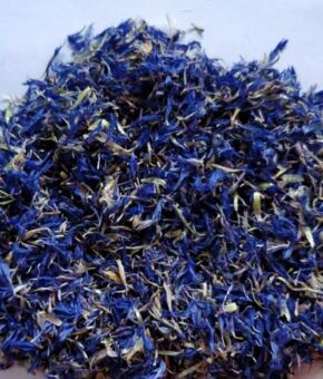 Cyani flower – blue