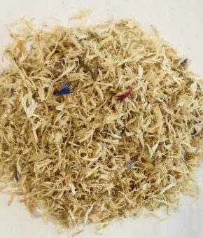 Cyani flower – white