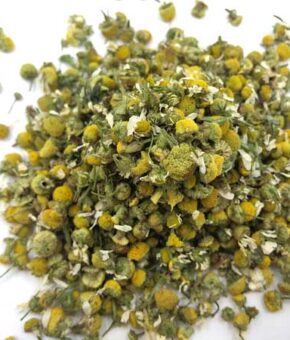 chamomile whole